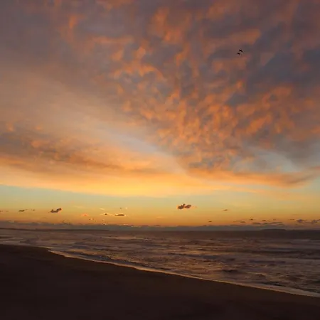 O Facho 포즈도아렐로